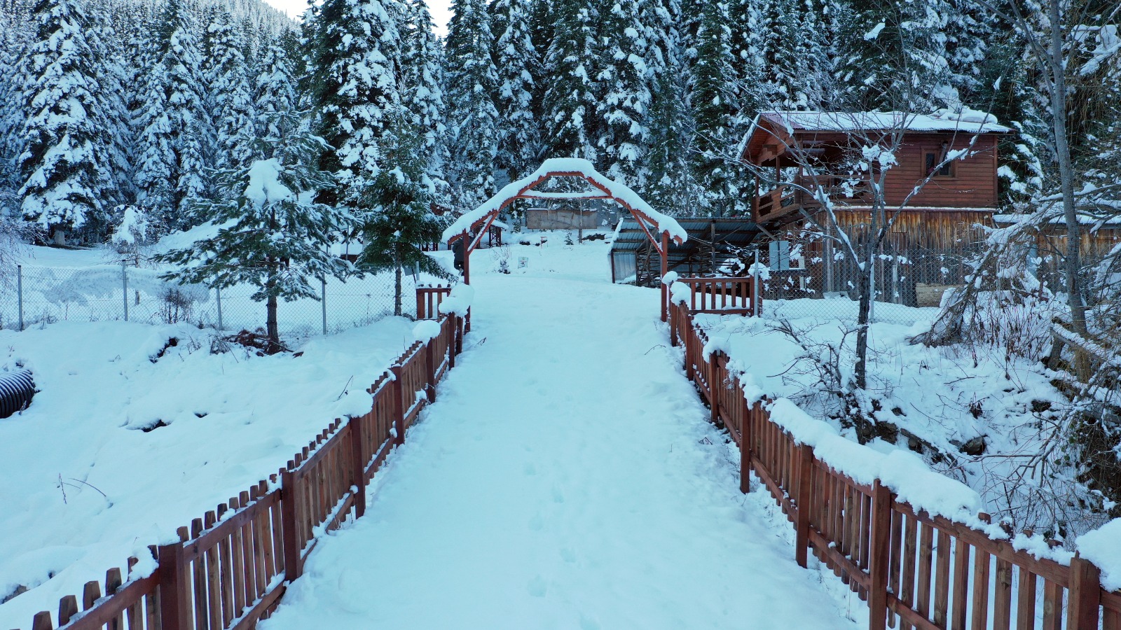 Kastamonu'nun Ilçesindeki Orman Parkı Beyaza Büründü Kartpostallık Görüntüler Oluştu! 11-3
