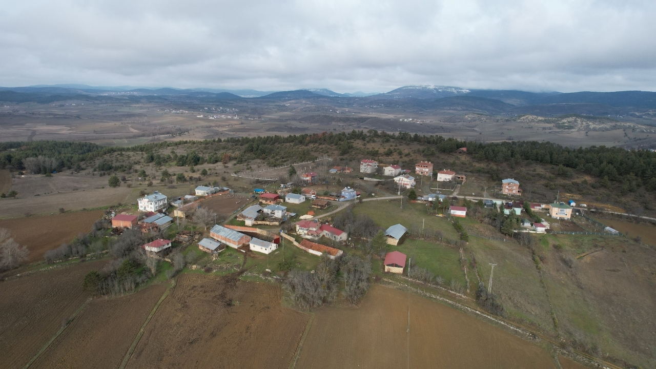 Kaz Yetiştirici (4)