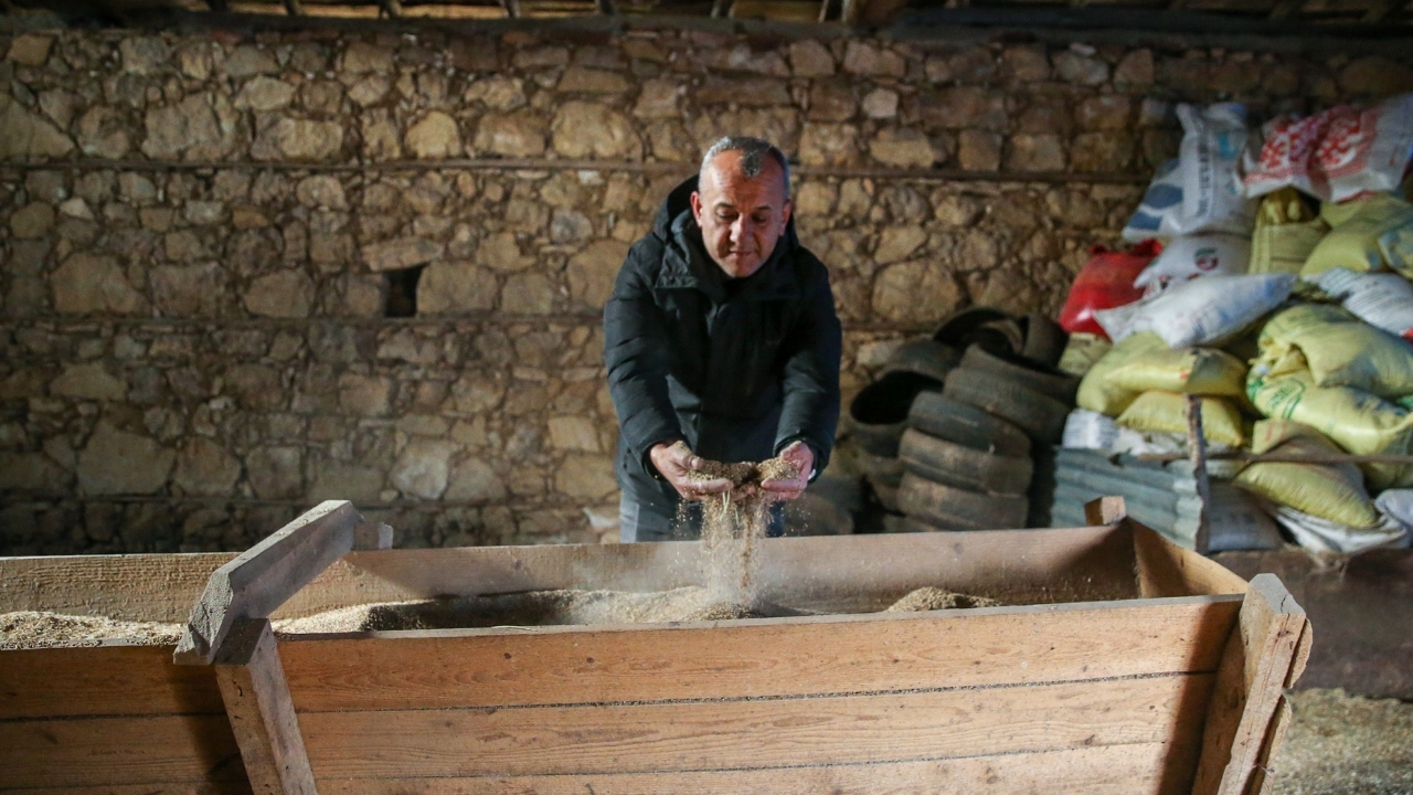 Kaz Yetiştirici (5)