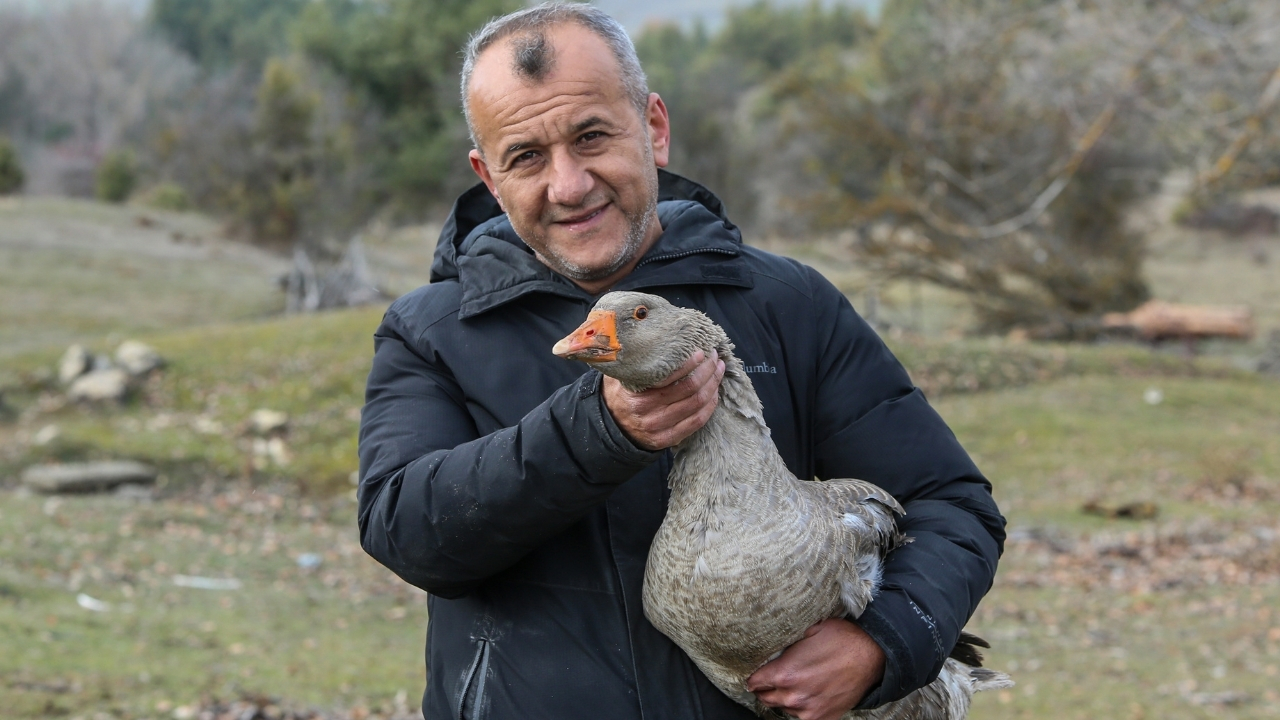 Kaz Yetiştirici (6)