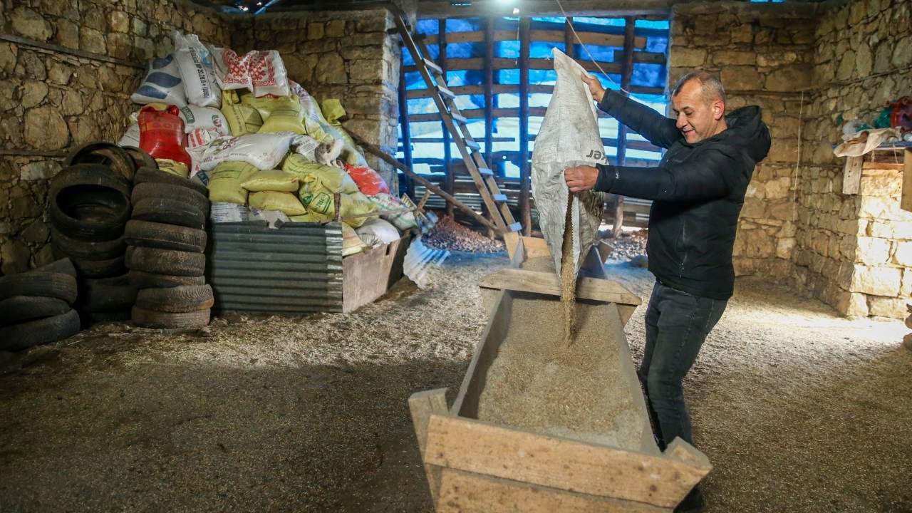 Kaz Yetiştirici (7)