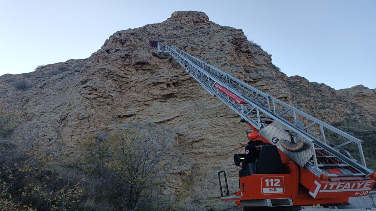 Keçi Kurtarıldı (2)