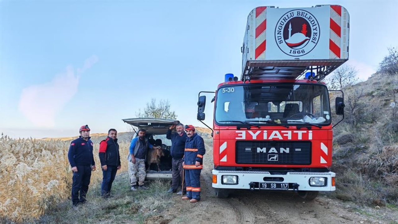 Keçi Kurtarıldı (3)