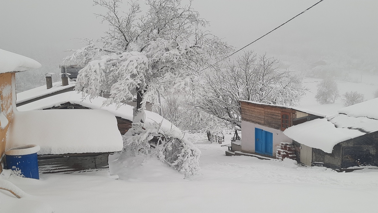 Kürede Kar Yağışı Kartpostallık Görüntü (3)
