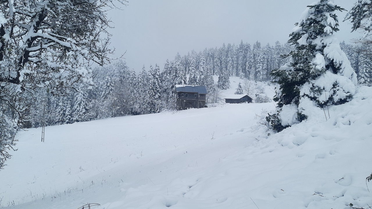 Kürede Kar Yağışı Kartpostallık Görüntü (5)