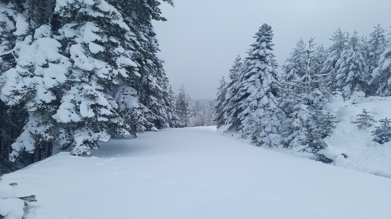 Kürede Kar Yağışı Kartpostallık Görüntü (6)
