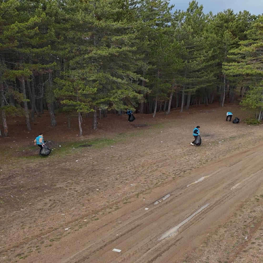 Mahkumlyar Orman (1)