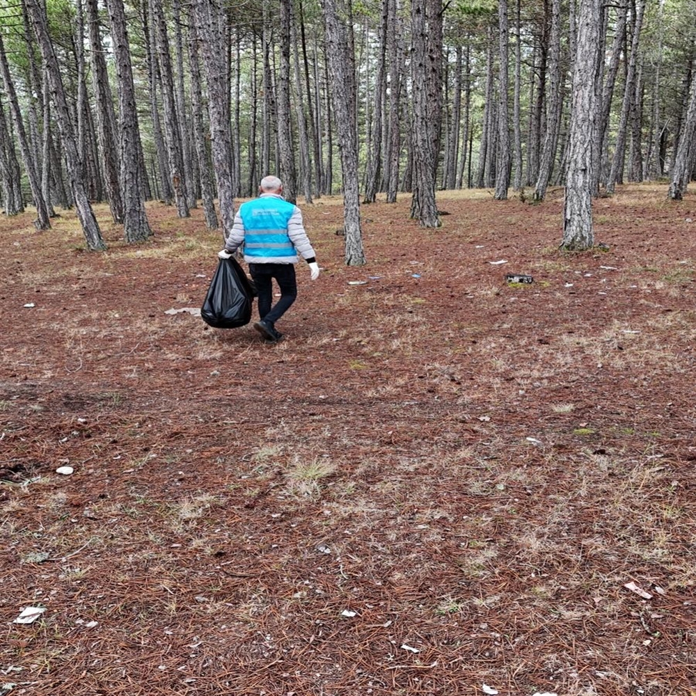 Mahkumlyar Orman (2)