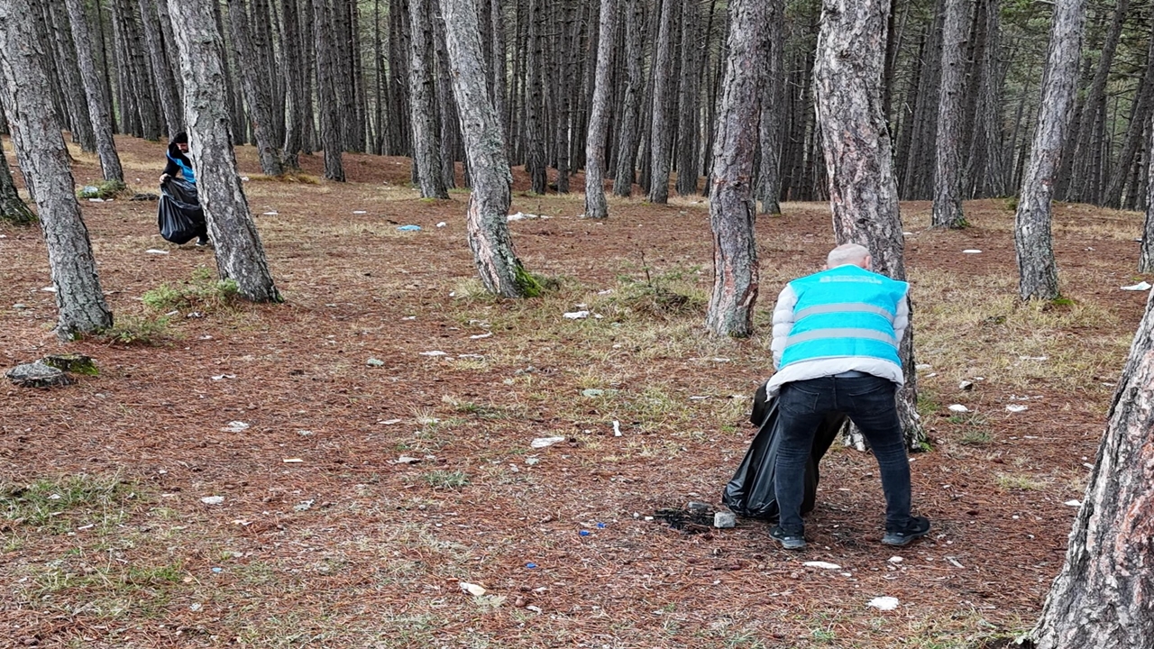 Mahkumlyar Orman (3)