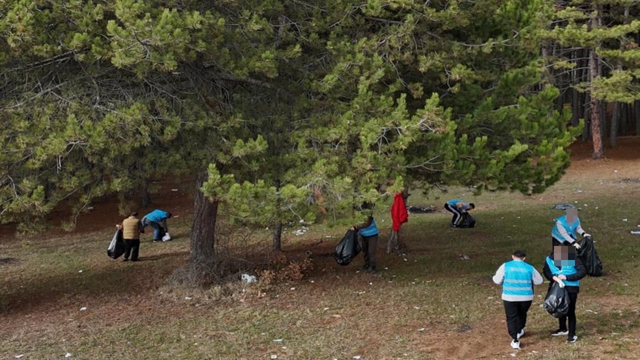 Mahkumlyar Orman (5)