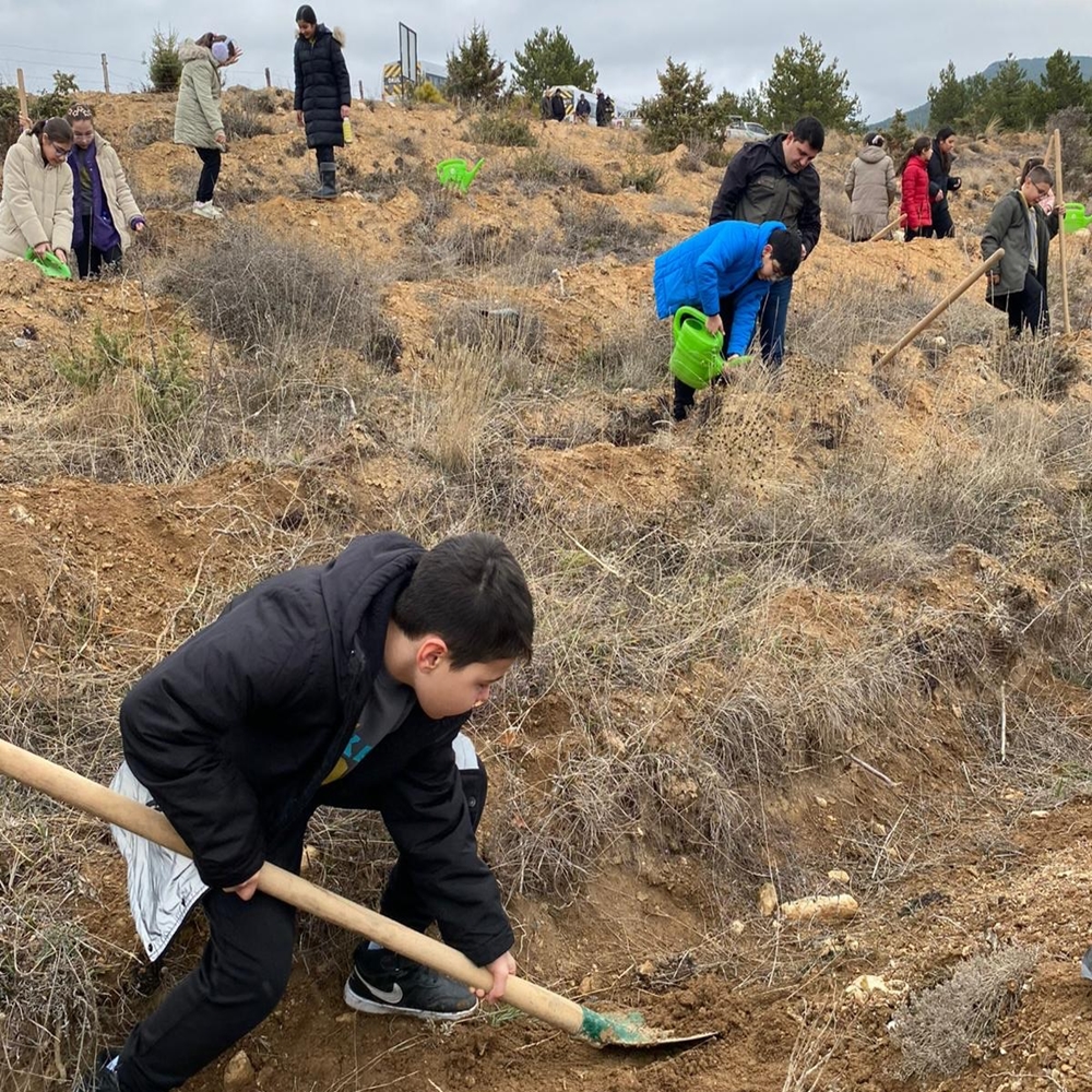 Orman Fidan Dikimi (1)-1