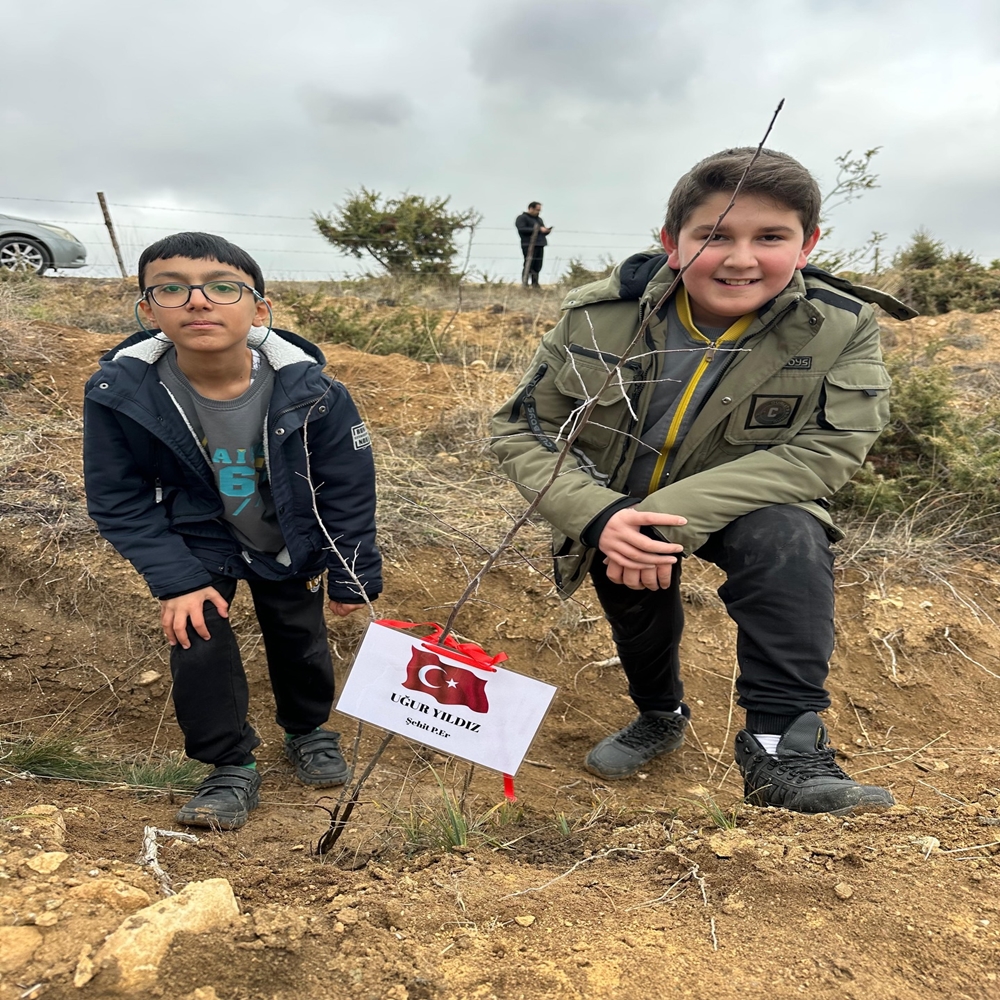 Orman Fidan Dikimi (2)-1