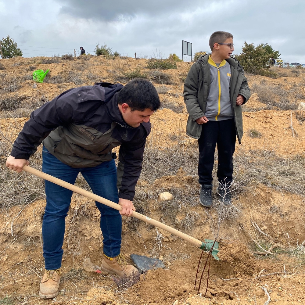 Orman Fidan Dikimi (3)-1