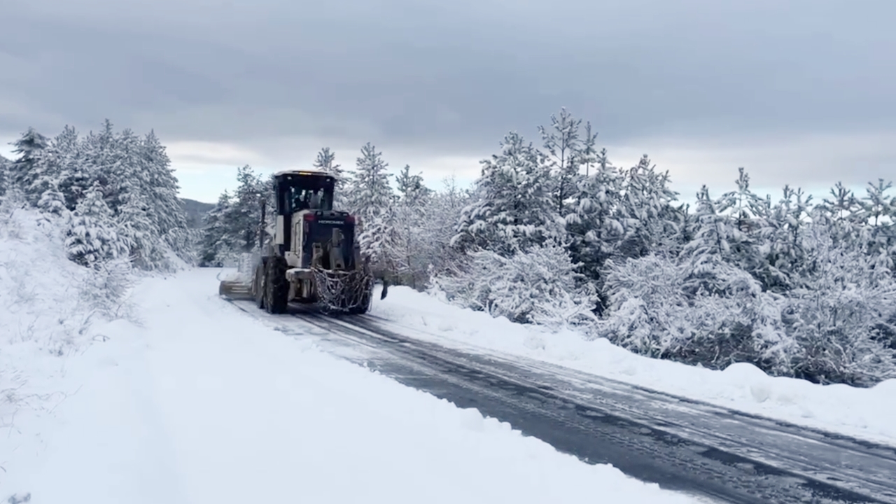 Orman Karla Mücadele (1)