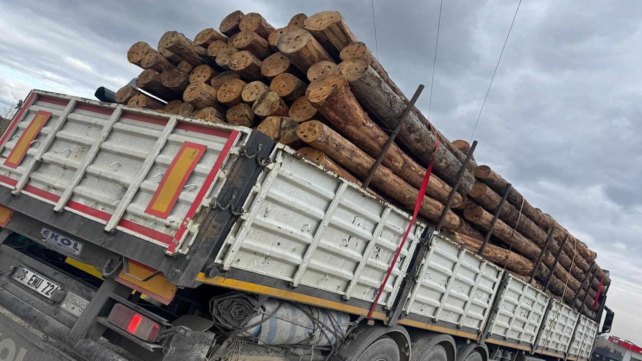 Orman Tır Kontrol (4)