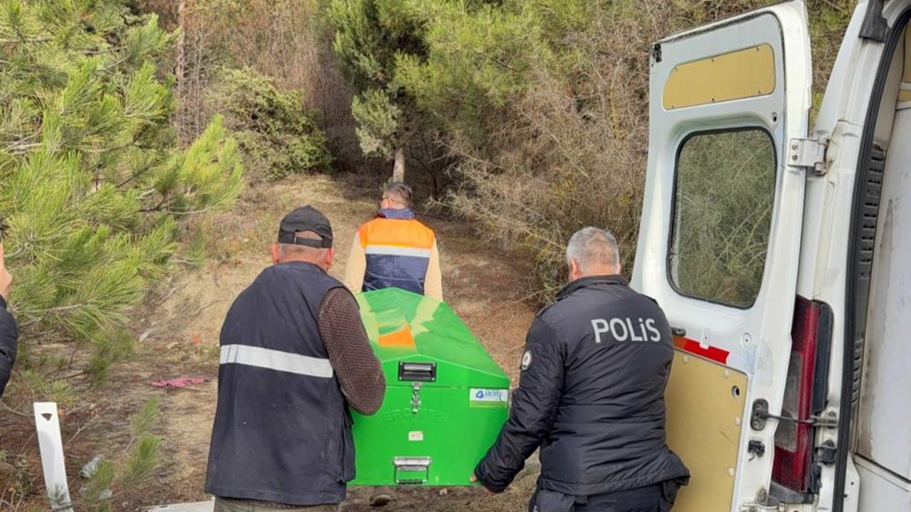 Ormanda Sır Ölüm (2)