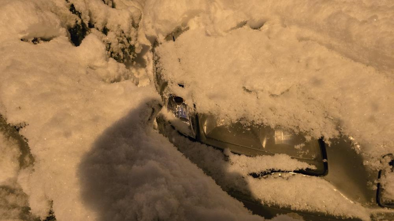 Otomobillerin Üzerine Çam Ağacı (1)