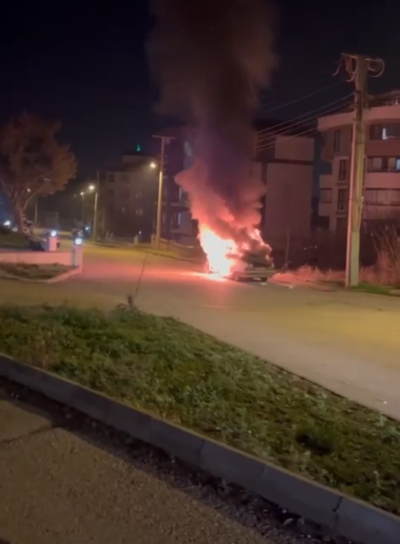 Park Halindeki Otomobil Alev Alev Yandı 4