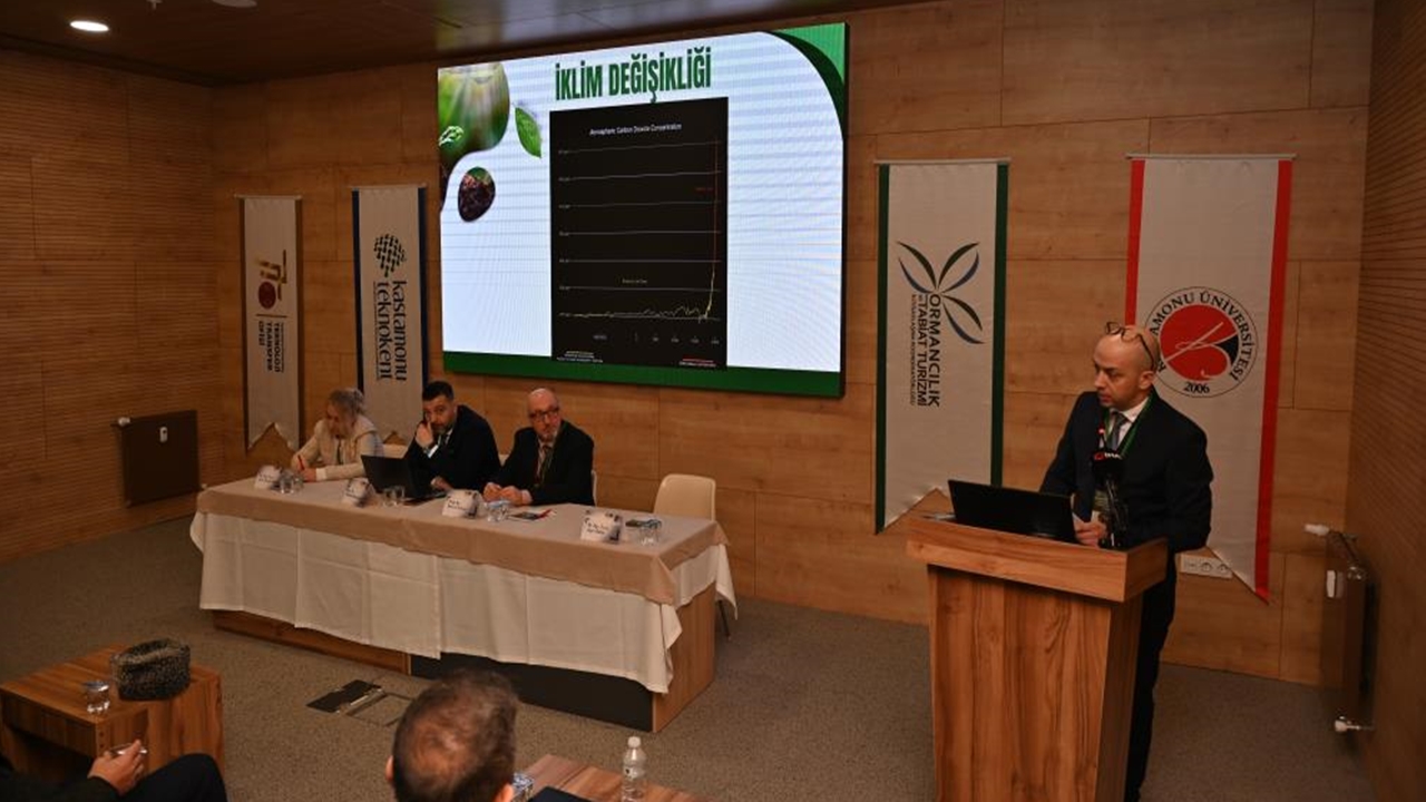 Prof. Dr. Devlet Toksoy Himaliya (4)