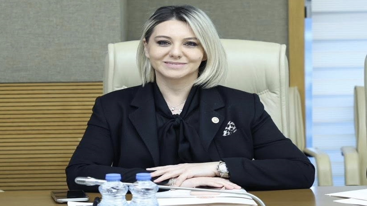 Serap Ekmekci Tbmm (1)