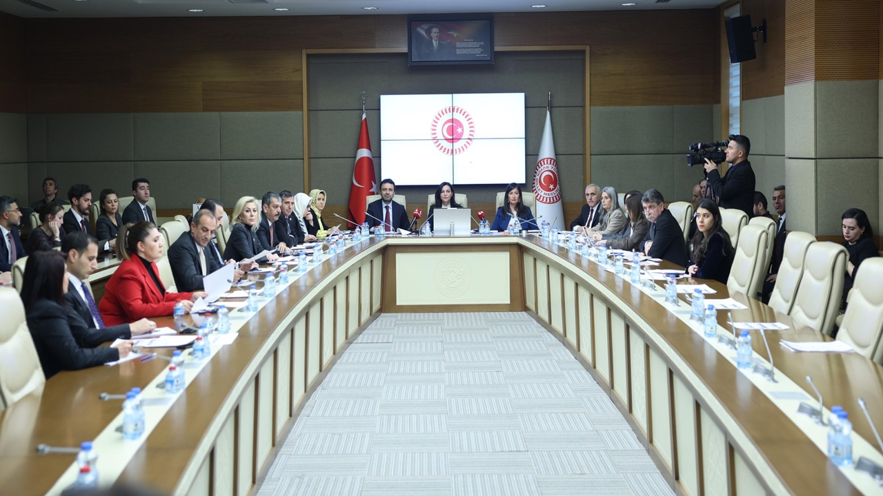 Serap Ekmekci Tbmm (2)