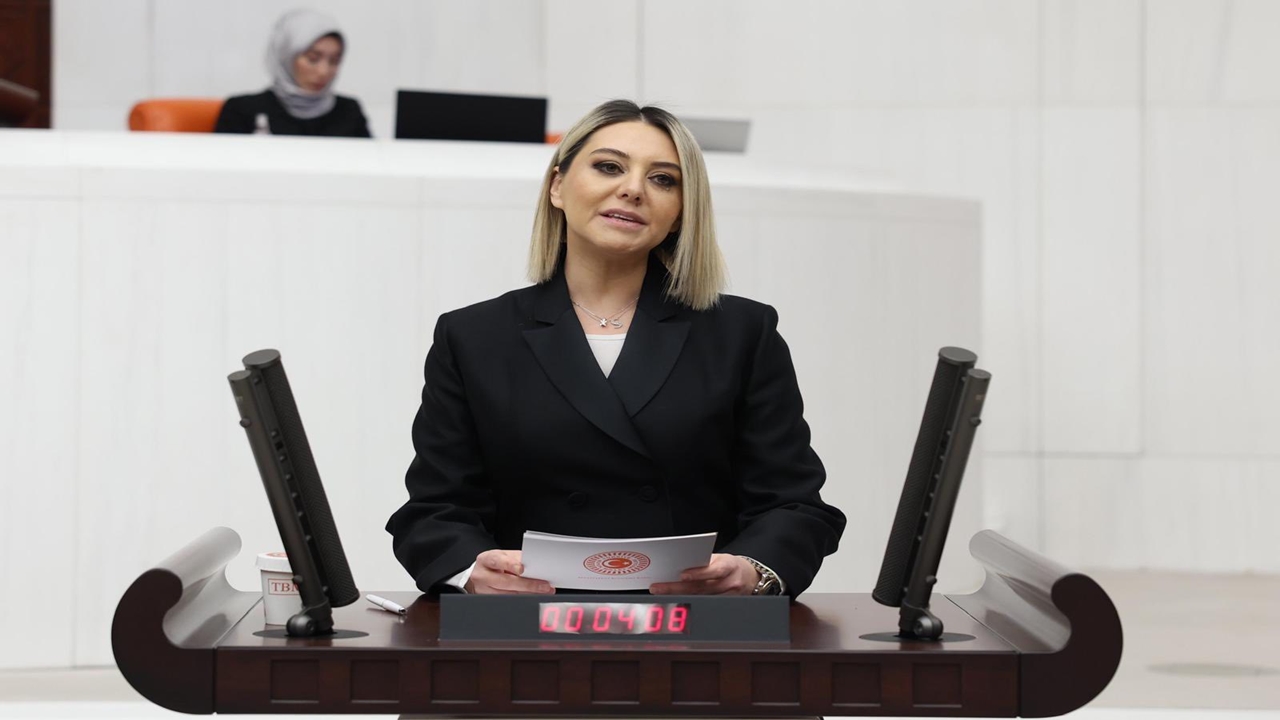 Serap Ekmekci Tbmm Konuşma (2)-1