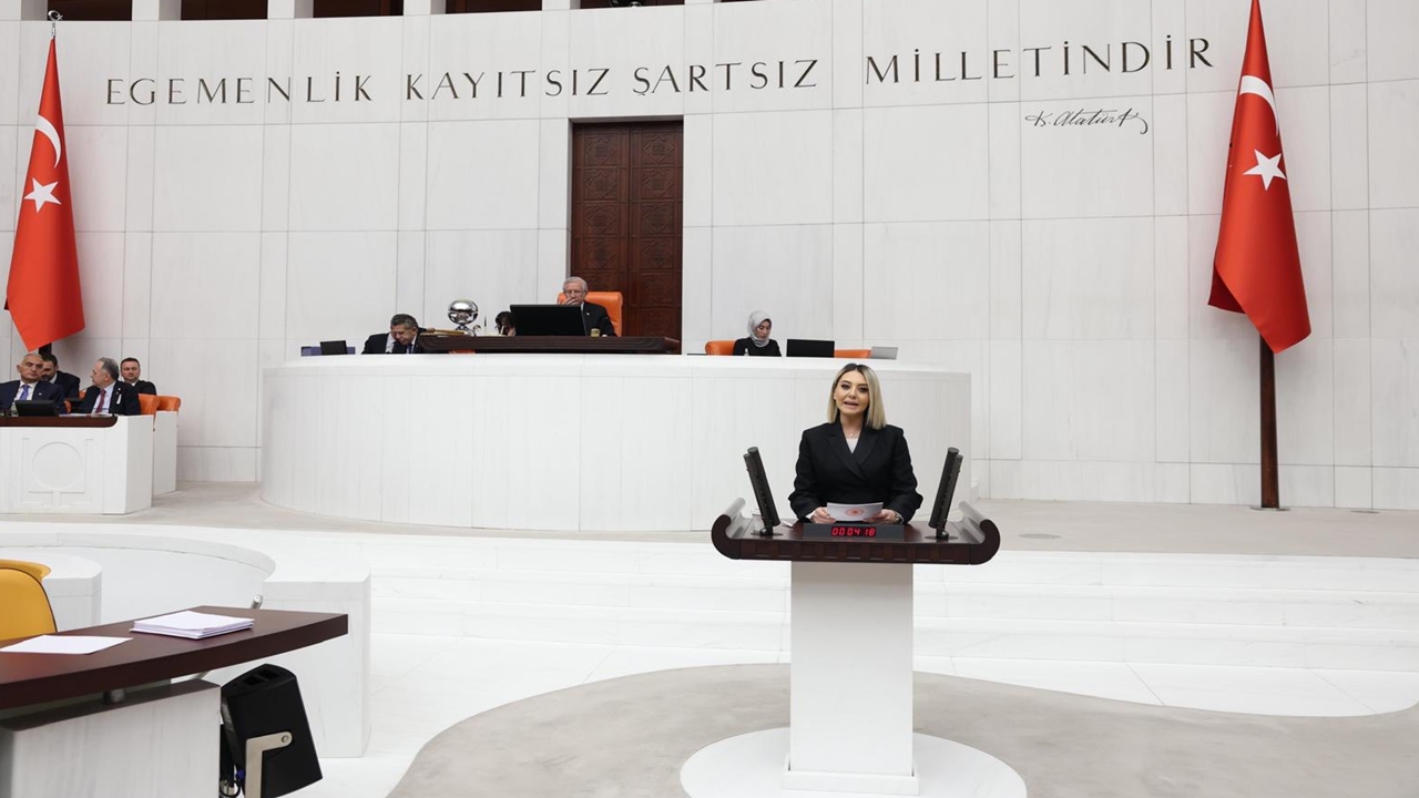 Serap Ekmekci Tbmm Konuşma (3)-1