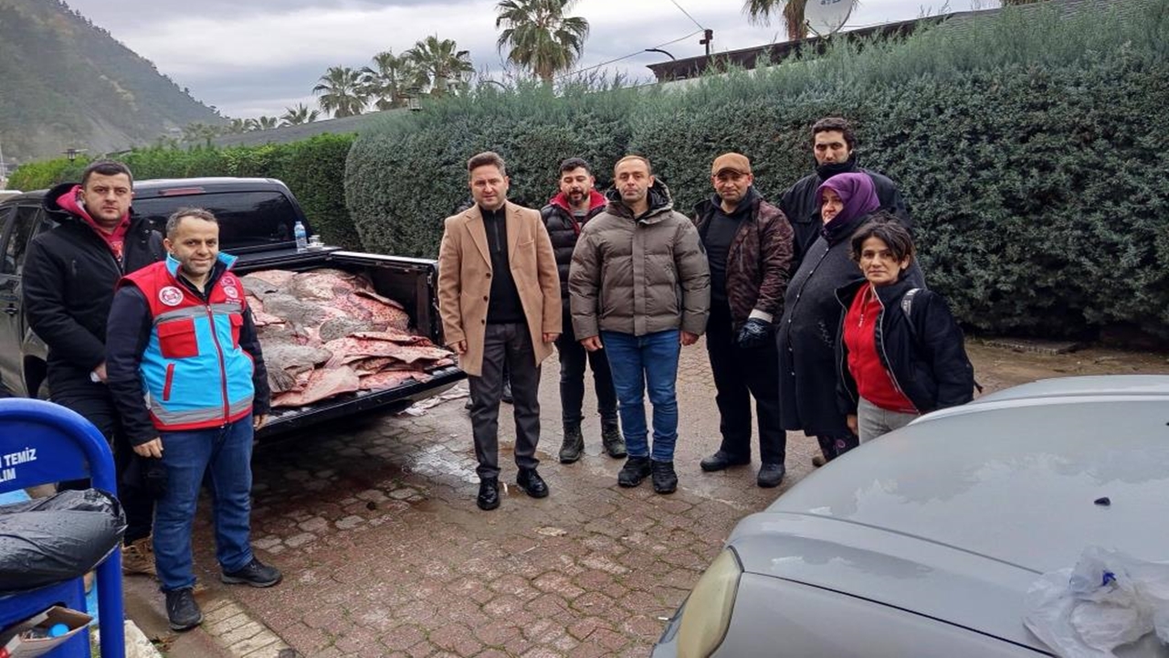 Sinop Kalkan Balığı (2)