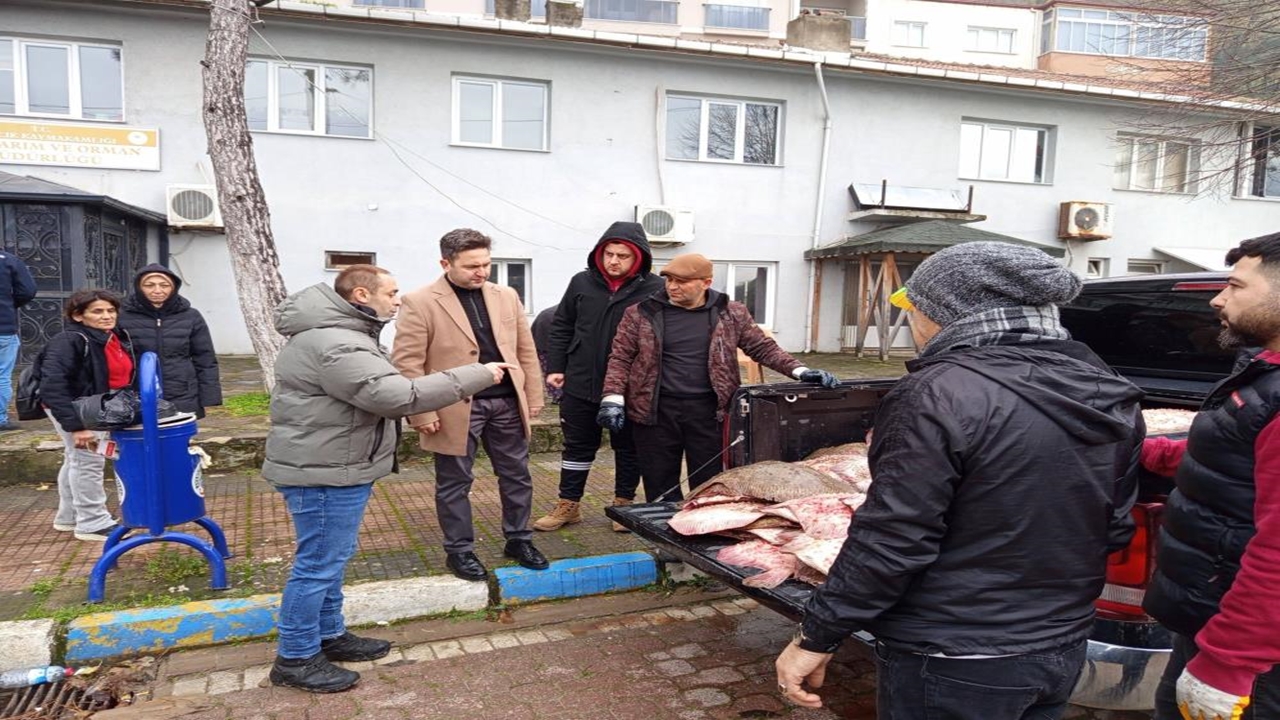 Sinop Kalkan Balığı (3)