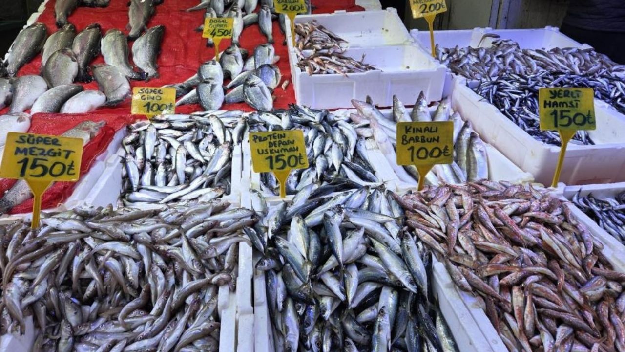 Soğuk Hava Hamsiyi Yükseltti Karadeniz’de Kasa Kasa Satış Sürüyor (1)
