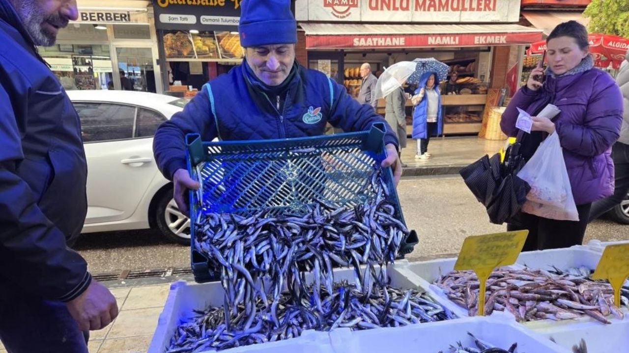 Soğuk Hava Hamsiyi Yükseltti Karadeniz’de Kasa Kasa Satış Sürüyor (3)
