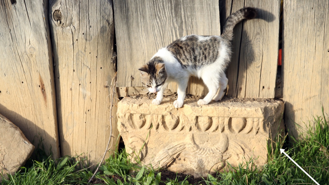 Tarihi Eserler Duvara Monte (4)