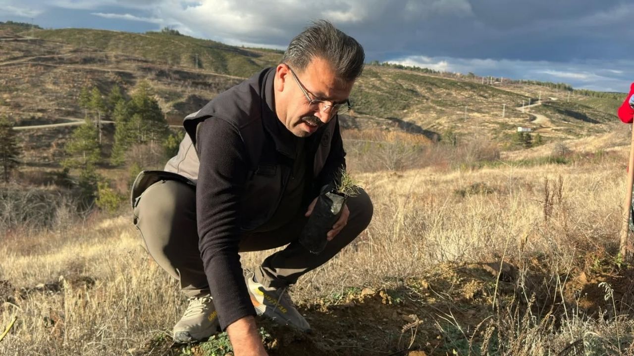 Taşköprü Fidan Sahası (1)