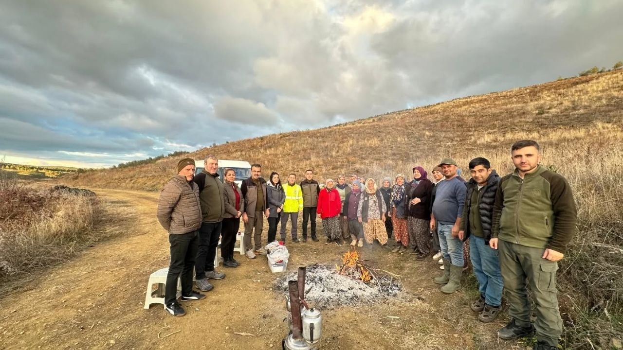 Taşköprü Fidan Sahası (4)