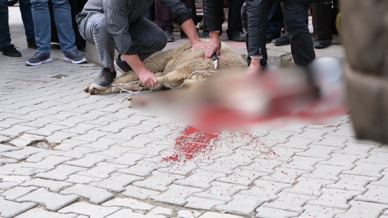 Taşköprü’de Yeni Market Açıldı Garlic Market’e Yoğun İlgi (5)