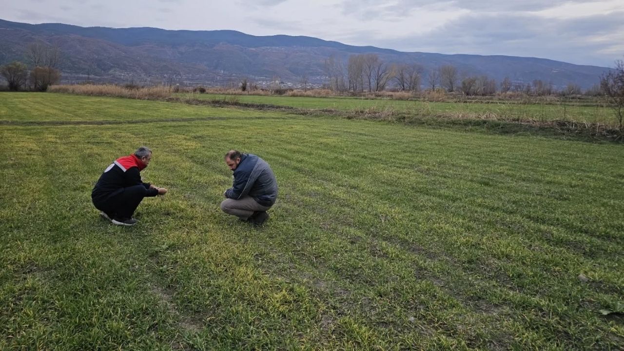 Tosya Çaykapı Köyü (3)