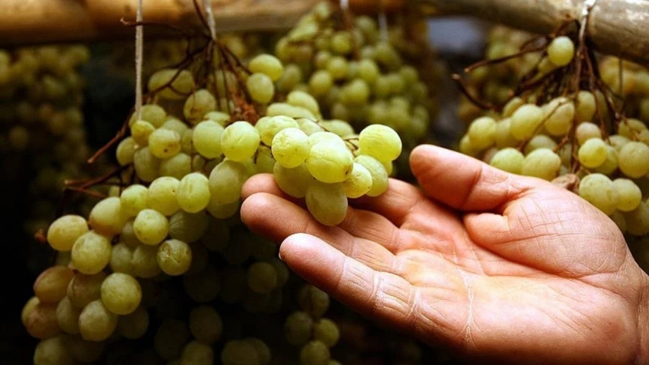 Yılbaşı Geleneği ‘12 Üzüm Ritüeli’ Nedir (2)