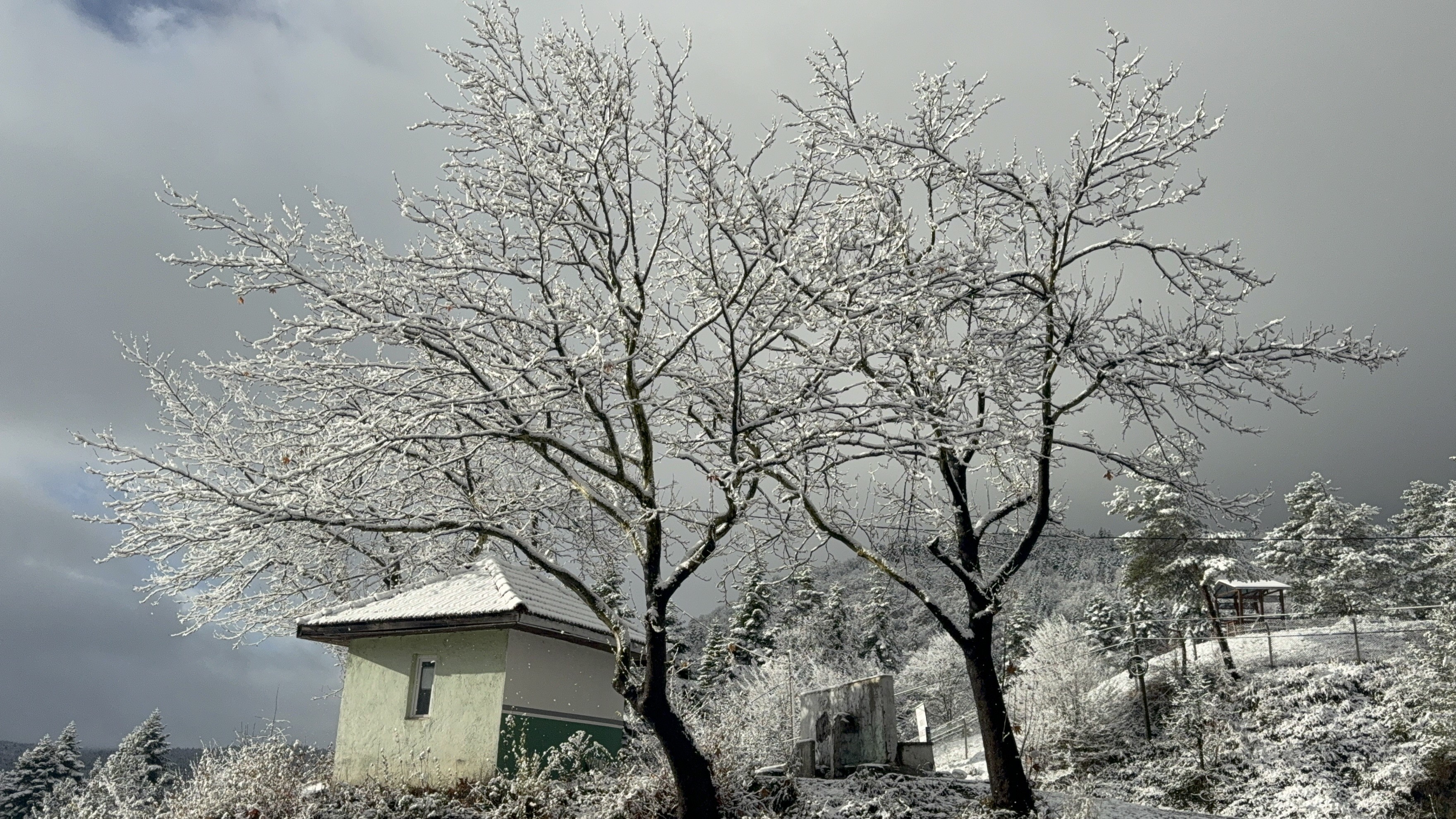 Yüksek Kesimlerde Kar Etkisini Gösterdi Kara Yolu Beyaza Büründü 22