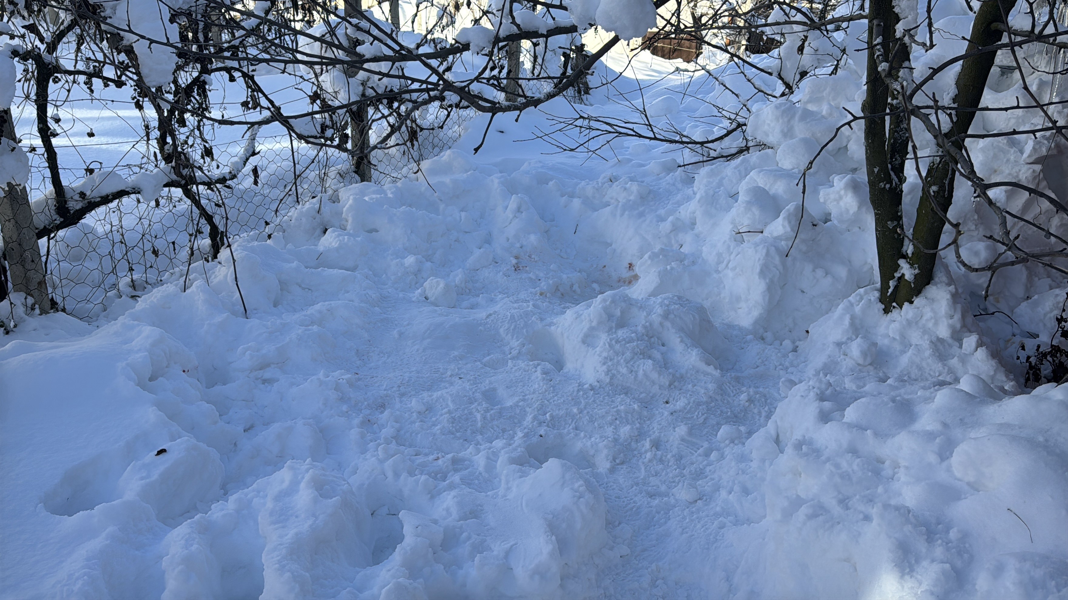 80 Yaşındaki Kadın Donmuş Halde Ölü Bulundu 12