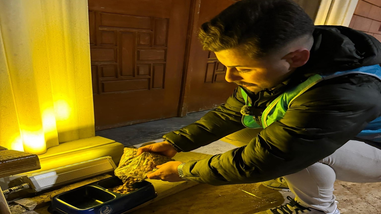 Abana Bozkurt Ülkü Ocakları Mama (2)