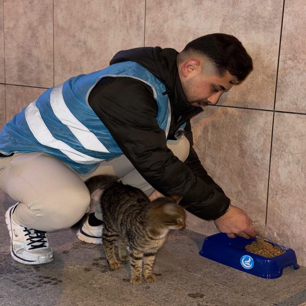 Abana Bozkurt Ülkü Ocakları Mama (3)