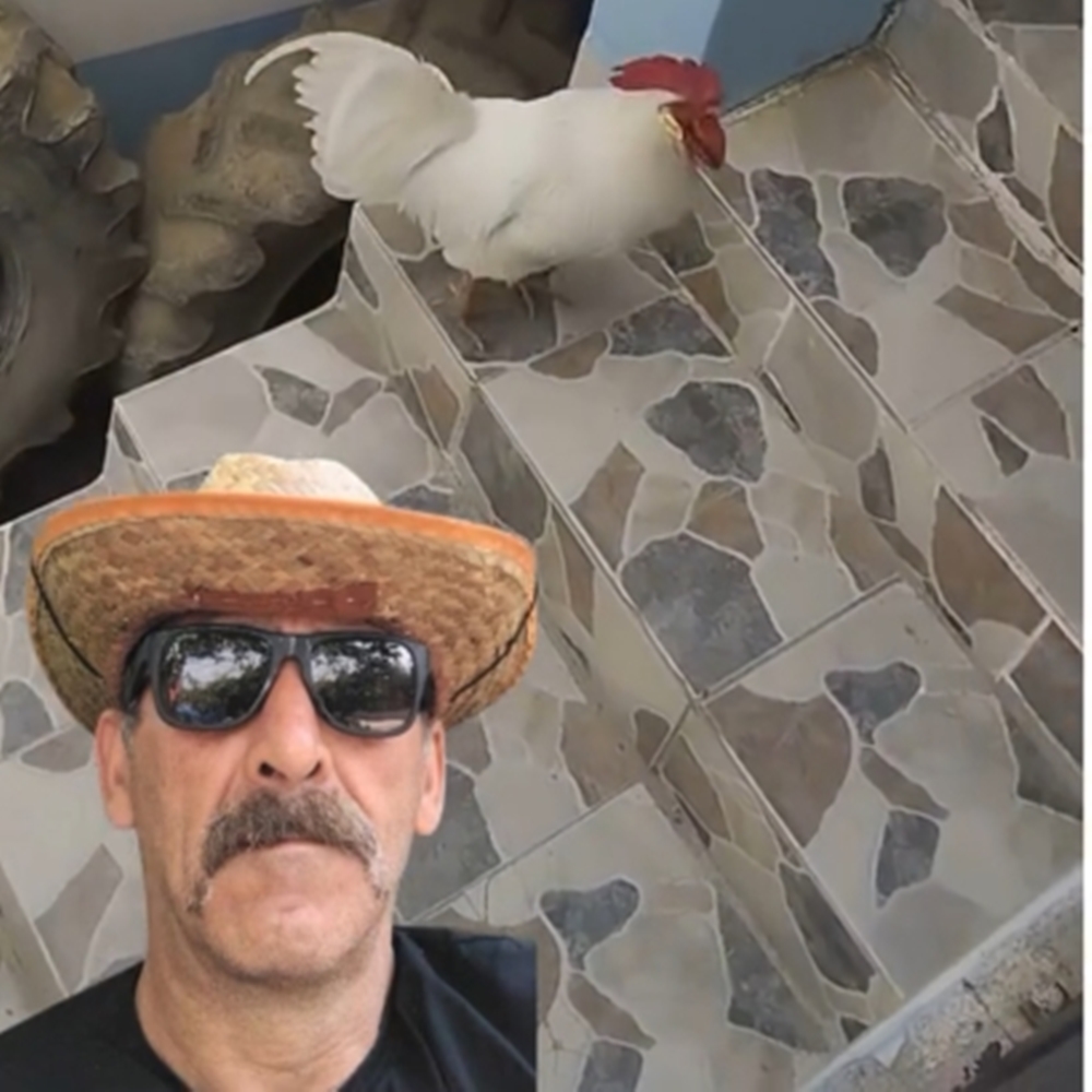 Abuzer’ Yetim Kaldı (1)