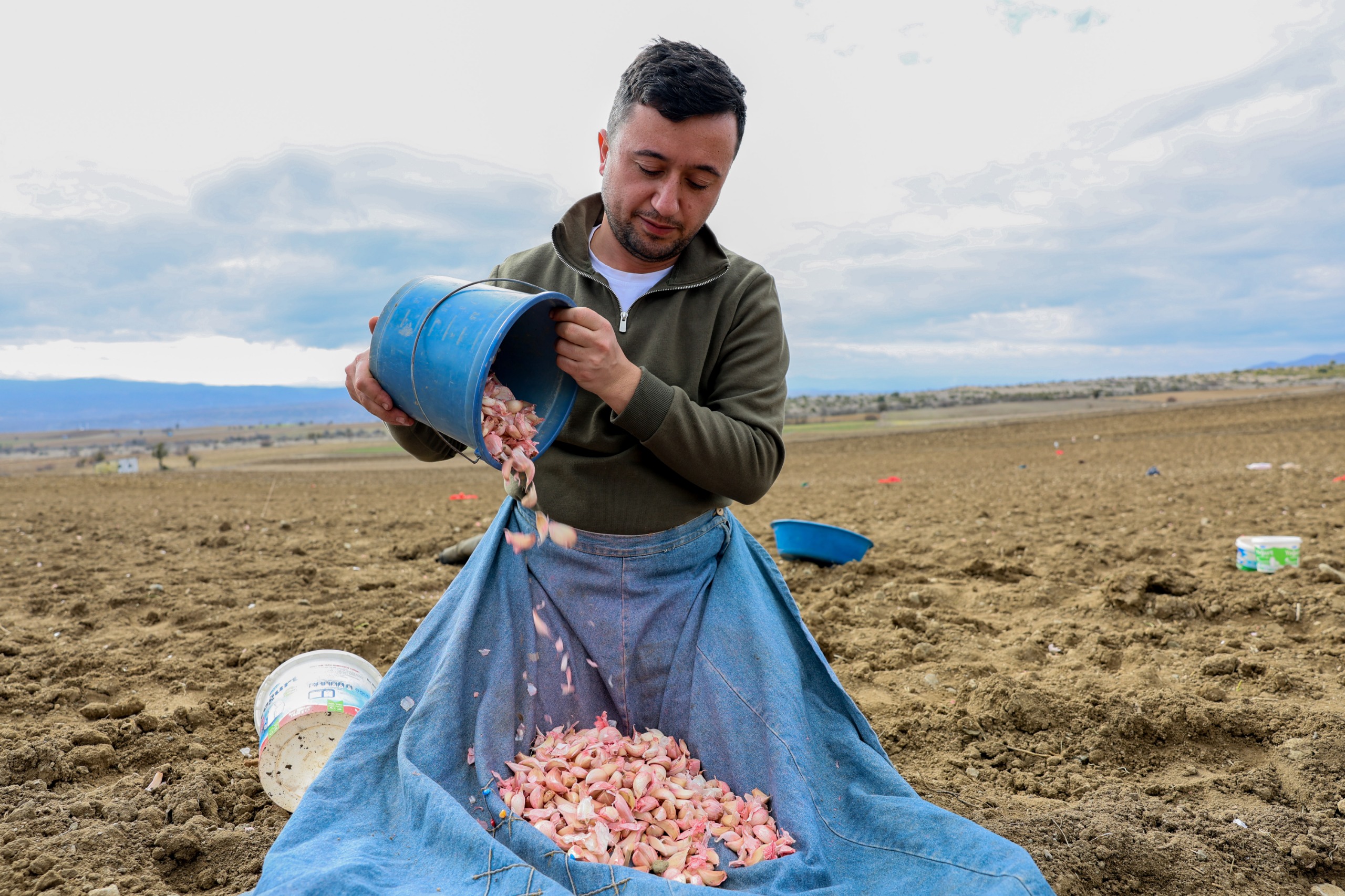Avrupa Coğrafi İşaretli Taşköprü Sarımsağı Toprakla Buluştu 6