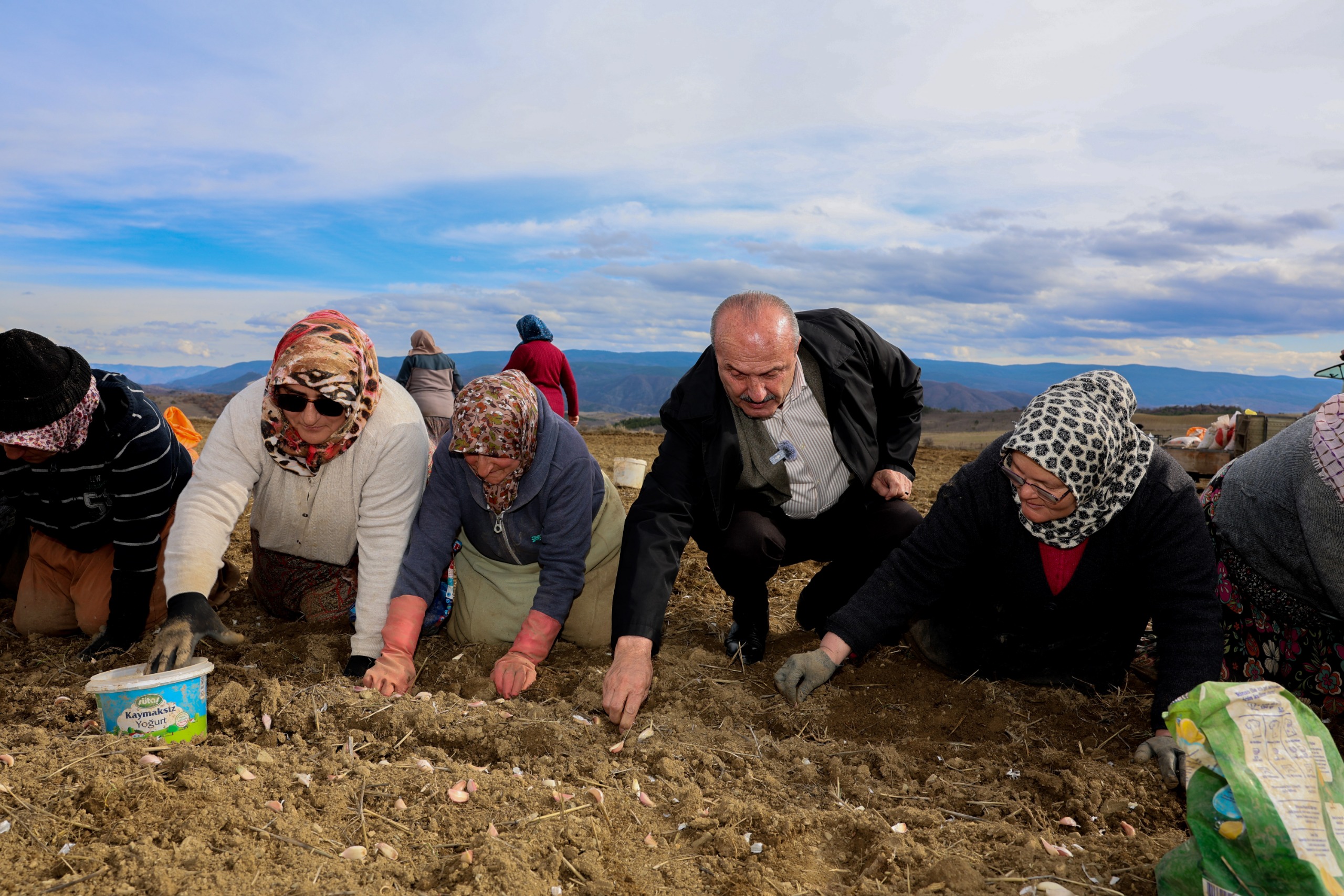 Başkan Arslan Taşköprü Sarımsağı Tarlasında Günlükçülerle Aynı Sofrada Buluştu 6