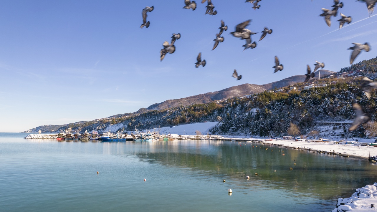 Bozkurt Inebolu Kar Manzarası (1)