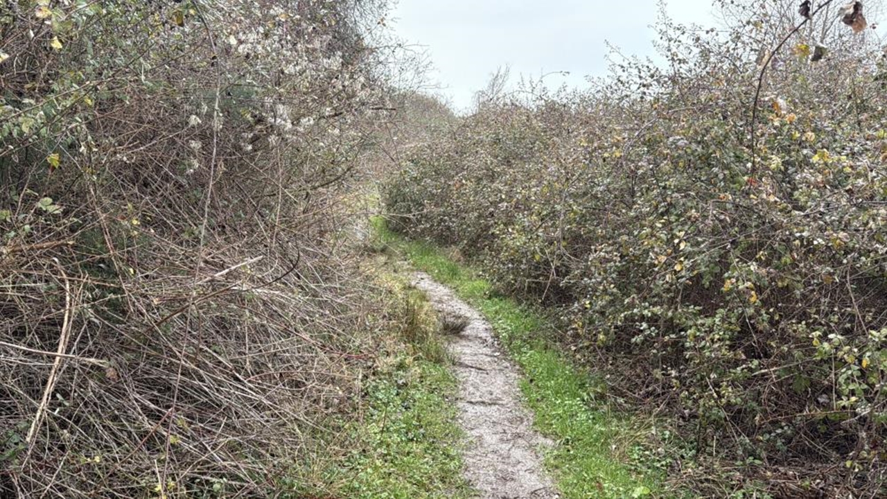 Cansız Bedeni Bulundu (2)