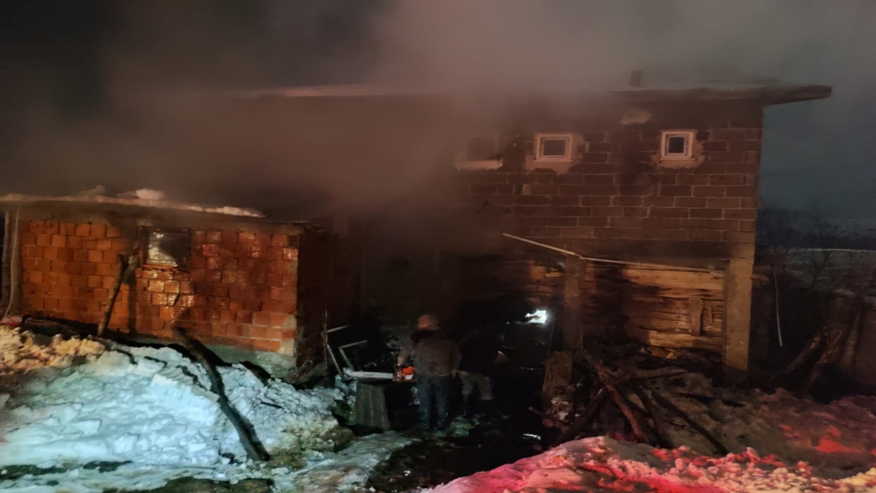 Devrekani Yangın Hayvan Telef Oldu (3)