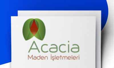 Hanönü'deki Bakır Madeni Satılacak Mı 1 Milyon Dolarlık Anlaşma Gündeme Geldi 44