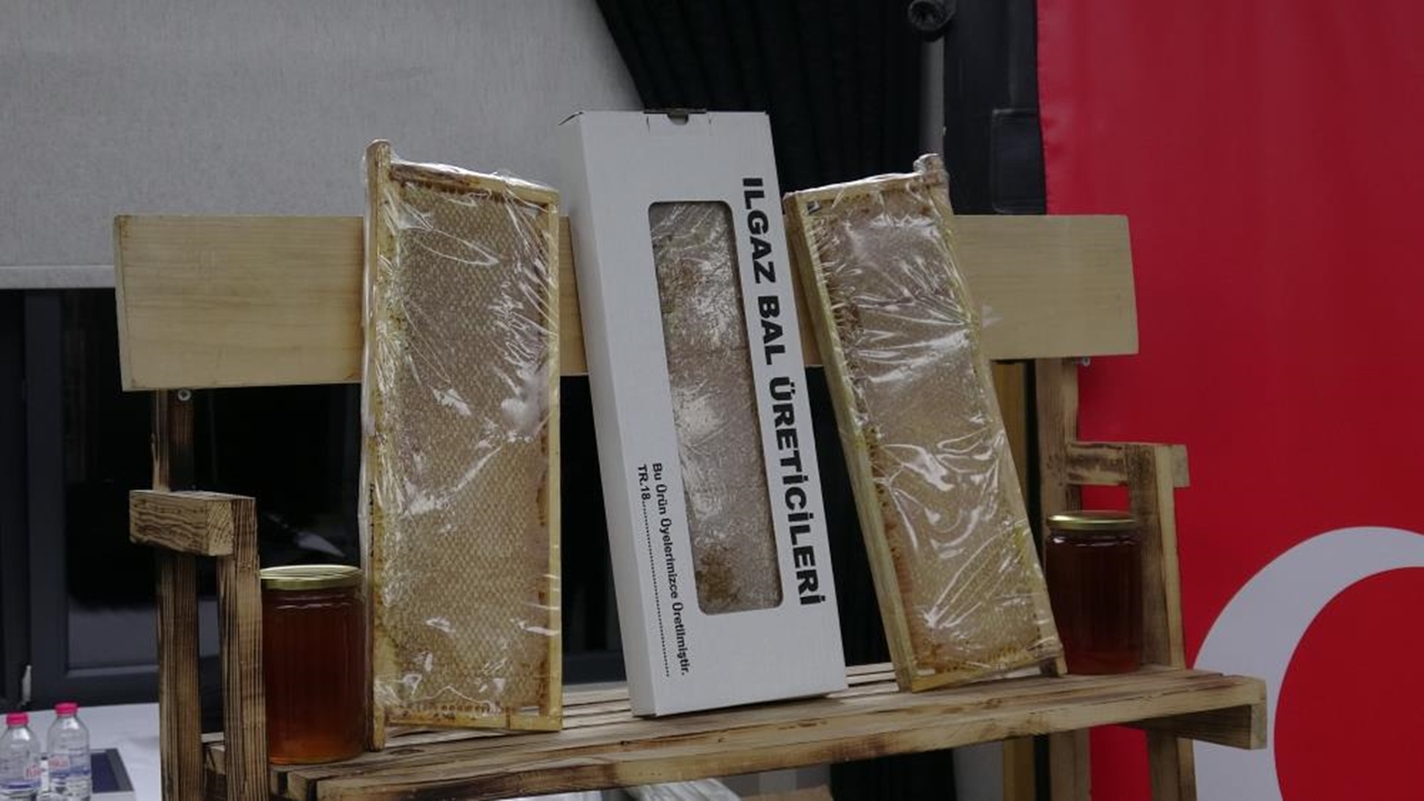 Ilgaz Dağı Balı Gunes Rekor (3)