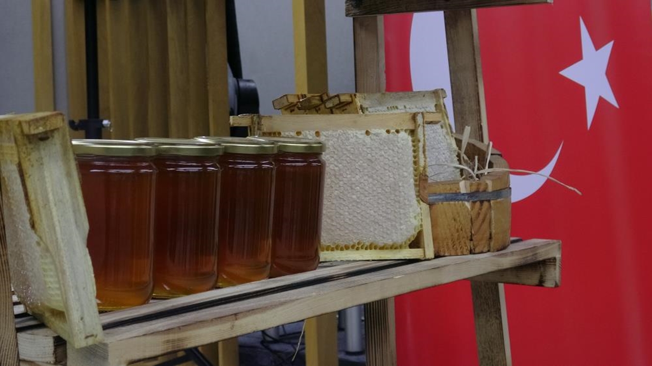 Ilgaz Dağı Balı Gunes Rekor (4)